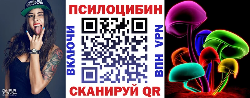 где купить наркоту  Купино  blacksprut маркетплейс  Псилоцибиновые грибы Magic Shrooms 