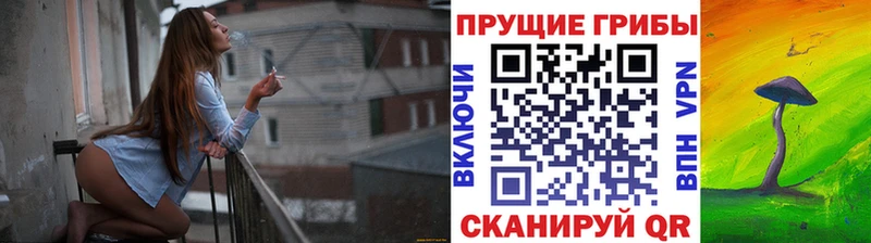Галлюциногенные грибы Cubensis Купино
