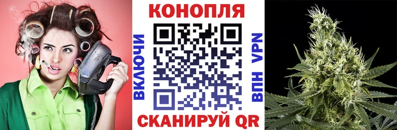 Канабис сатива  Купино 